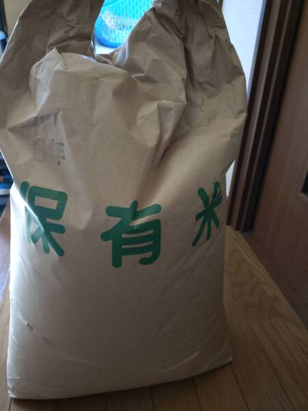令和6年秋収穫 長野県産コシヒカリ 玄米5kg