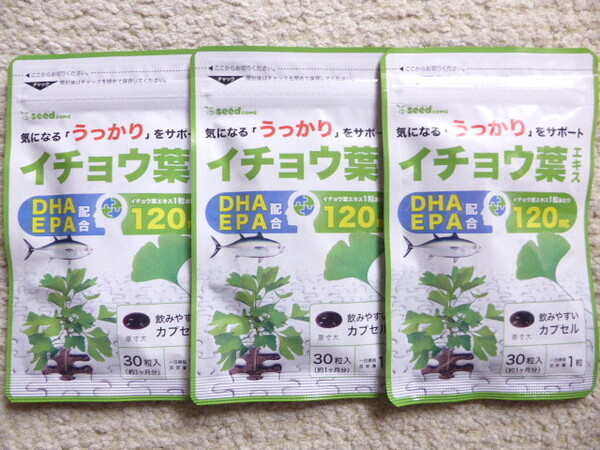 イチョウ葉エキス 約3ヶ月分(30粒×3袋) シードコムス DHA EPA 送料無料