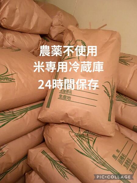 にこまる 10kg 農薬不使用 玄米 国産 農家直送 美容健康 安心安全