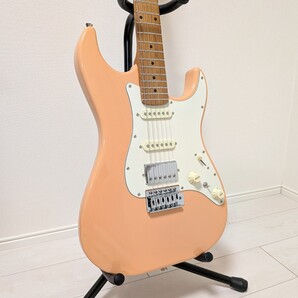 【送料無料】 Bacchus (バッカス) GS-2DX RSM/M SLPK