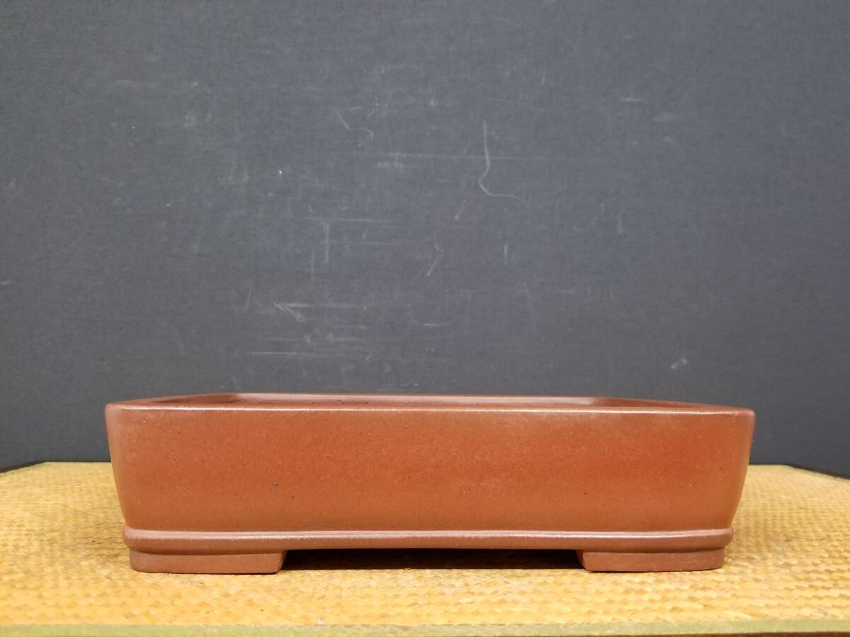 白木盆栽園　柴勝　盆栽鉢　横25センチ　鉢和鉢盆栽趣味陶器盆器植木鉢 白木盆栽園 柴勝 盆栽鉢 横25センチ 鉢和鉢盆栽趣味陶器