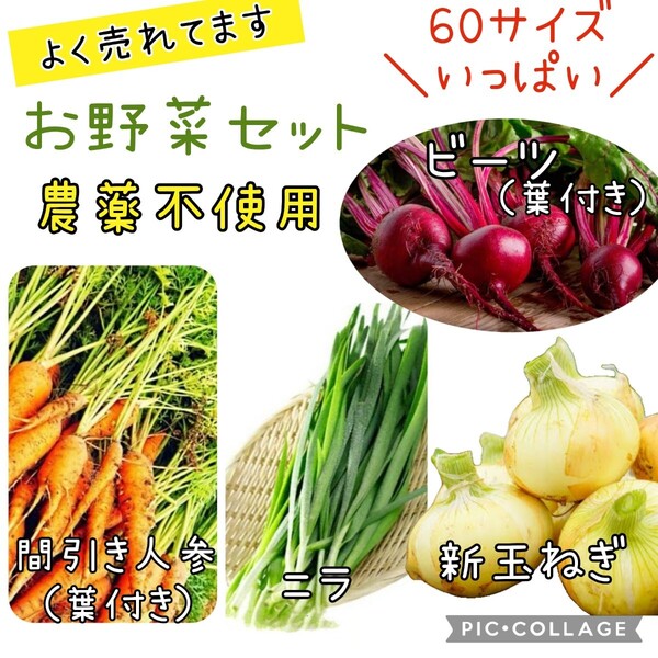 野菜セット 新玉ねぎ 詰め合わせ 農薬不使用 ビーツ 間引き人参 ニラ