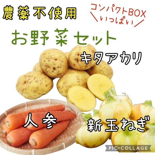 野菜セット 農薬不使用 人参 じゃがいも キタアカリ 新玉ねぎ 詰め合わせ コンパクト