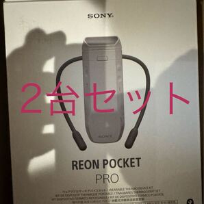2台セット SONY REON POCKET PRO レオンポケットプロ ソニー ヘッドホン