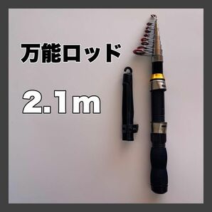2.1m コンパクトロッド 釣竿 210cm 黒 金 短竿 穴釣り ちょい投げ