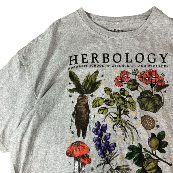 ハリーポッター hurry potter 00s ムービーTシャツ 薬草 人面草 ホグワーツ 古着 Tシャツ 半袖Tシャツ グレー 2XL