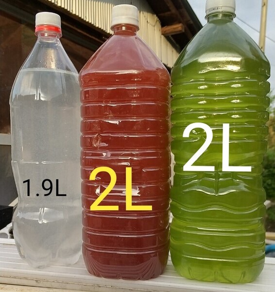 PSB(光合成細菌)2000ml & グリーンウォーター(青水、種水)2000ml & ゾウリムシ種水 1900ml 。めだか 金魚 メダカ ミジンコ らんちゅう
