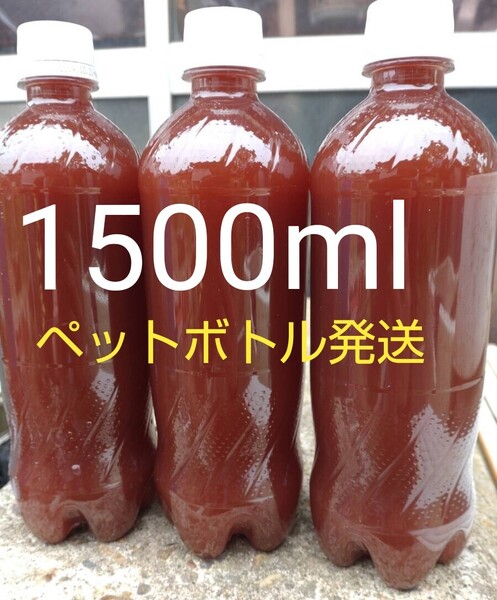 PSB (光合成細菌) 1500ml。 ペットボトル発送。めだか ゾウリムシ 金魚 ミジンコ メダカ らんちゅ 稚魚