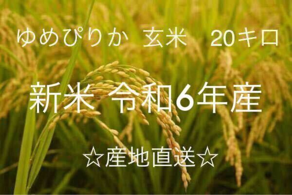 産地直送 令和6年北海道産玄米ゆめぴりか 20kg送料込み 数量限定