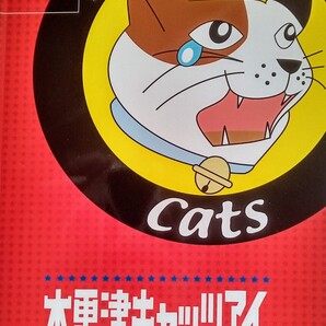 木更津キャッツアイ ワールドシリーズ パンフレット 2006年10月28日アスミック・エース エンタテインメント発行 ※パンフレットのみ