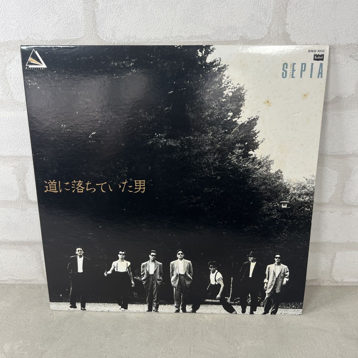 一世風靡セピア shibuya MOON-775 | レコード通販
