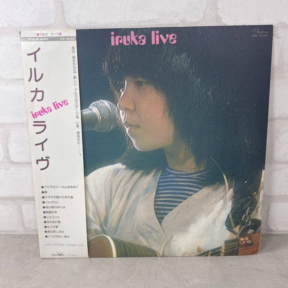 2025年最新】Yahoo!オークション -イルカ ライブの中古品・新品