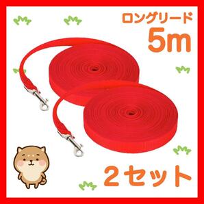 2セット 犬 リード ロングリード 5m 赤 2セットリード5M1