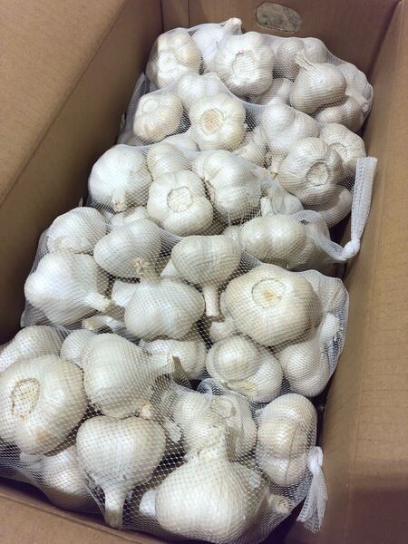 青森県産 にんにく L 5kg