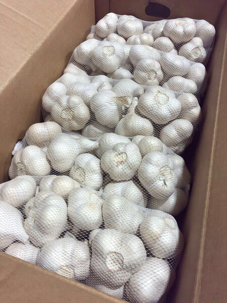 青森県産 にんにく M 10kg ①