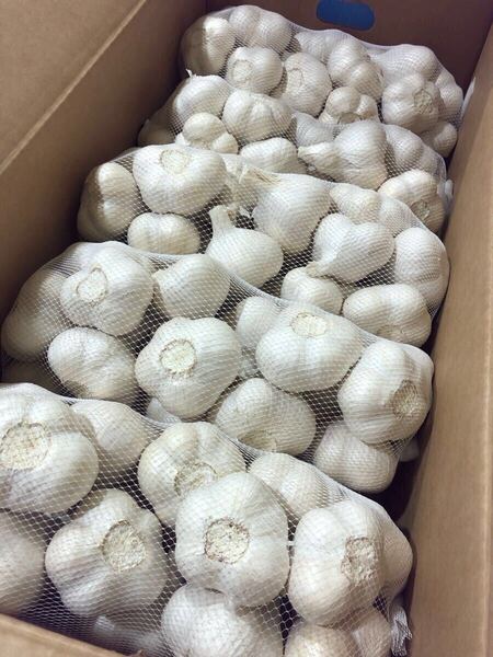 青森県産にんにく M 10kg おすすめ