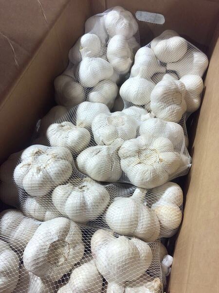 青森県産にんにく 2L 10kg おすすめ