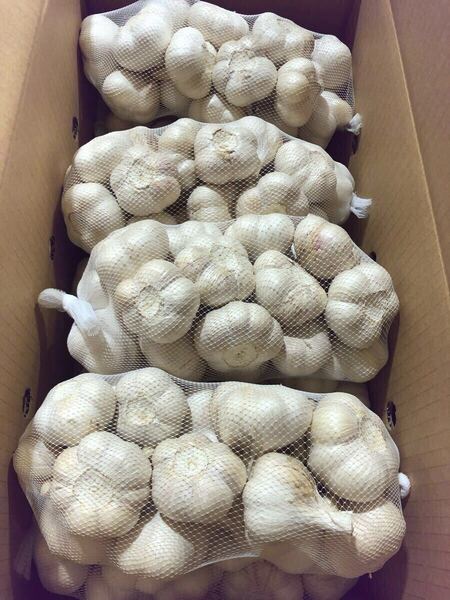 青森県産にんにく L 10kg おすすめ