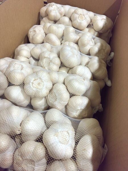青森県産にんにく ML 5kg