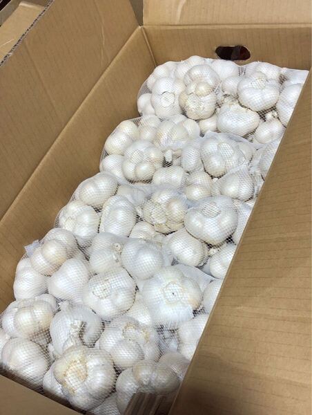 青森県産 にんにく L 5kg