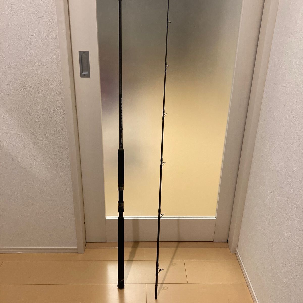 2025年最新】Yahoo!オークション -ロッキーショア(海水)の中古品