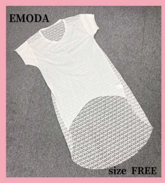 〇6617B〇 EMODA トップス 女性