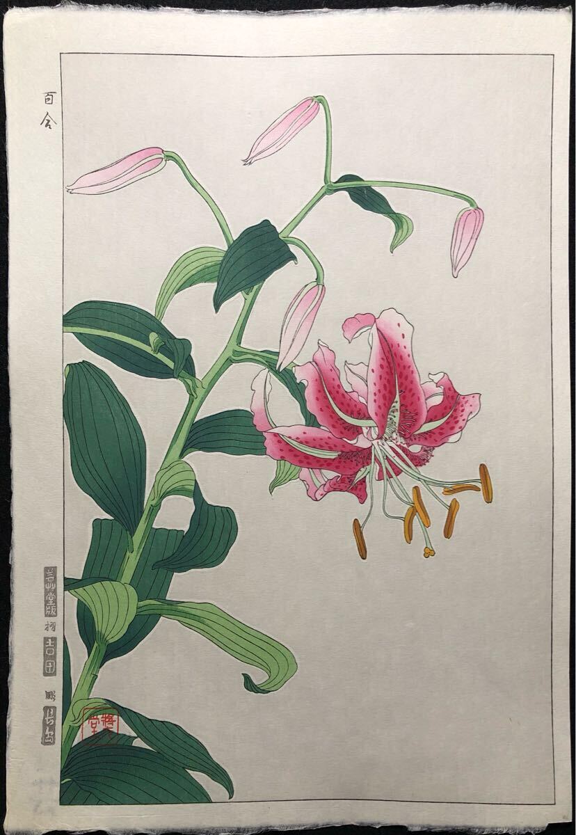 本物！河原崎奨堂 水蓮 木版画 新版画 花鳥画