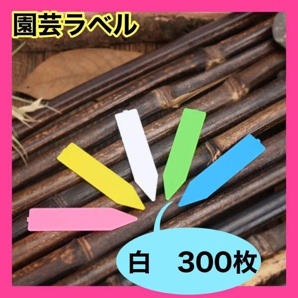 園芸ラベル 300枚 ホワイト プランツタグ 植物 名札 ガーデニング 園芸用品