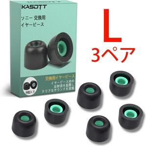 KASOTT L 3ペア ソニー イヤーピース イヤーチップ イヤーキャップ