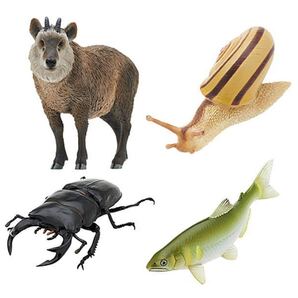 NATURE OF JAPAN 日本のいきもの03 4種セット