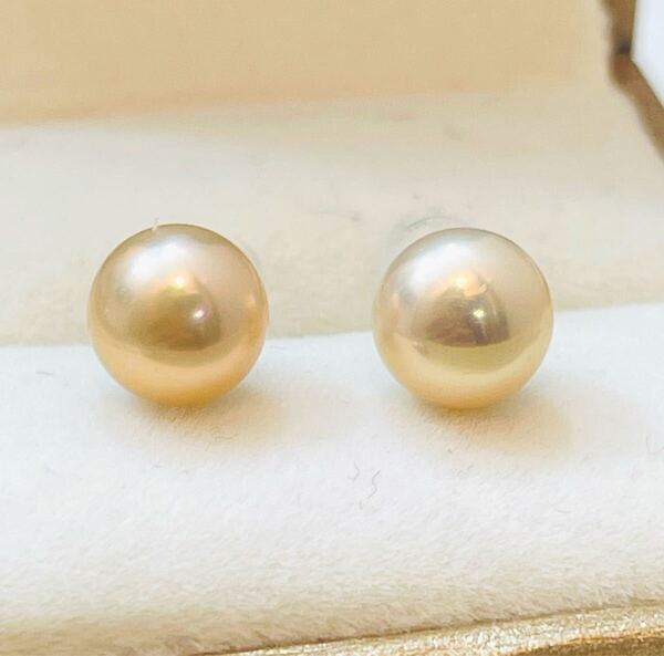 最強の光沢 極上 無核 本真珠ピアス ゴールドパール 無調色 天然 7-8mm パールピアス ピアス 直結 発色抜群 天然真珠 パール 真珠専門