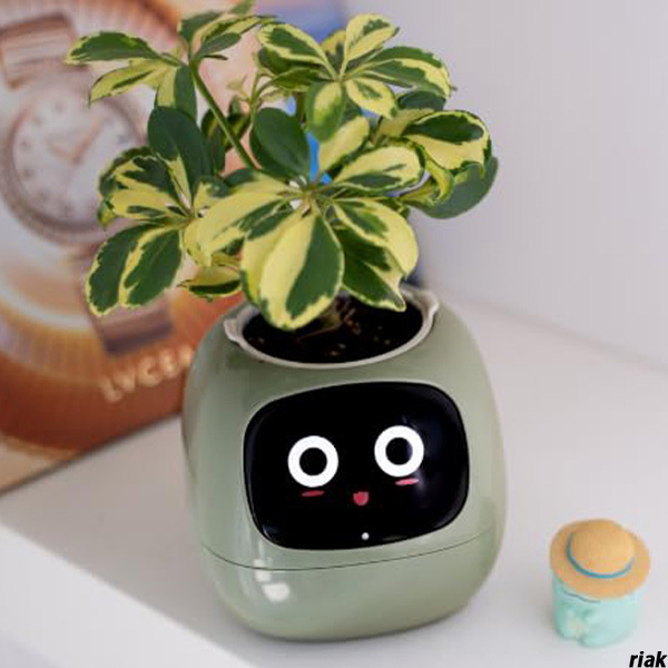 【ペット感覚で育てるスマートプランター】 植物ケアロボット USB充電式 デスク上インテリア 観葉植物育成キット ギフト プレゼント