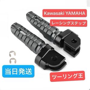 フットレスト バックステップ yzfr15 mt25 mt03 mt07 yzfr25 yzfr6 z250 ninja250 zx25r zx4r z650 ゼファー z900rs マフラー バイク