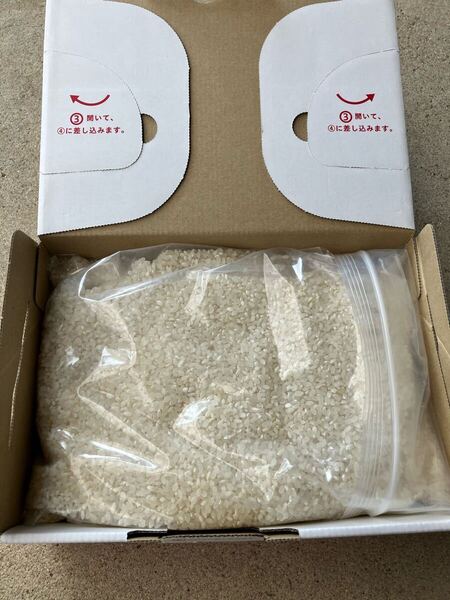【京都米】 キヌヒカリ自家栽培米 袋込2kg 白米 令和6年産
