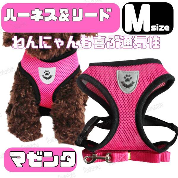 ハーネス リード メッシュ ペット 犬用 猫用 散歩 抜けない 脱げない 首輪 胴輪 超小型犬用 小型犬用 Mサイズ マゼンタ