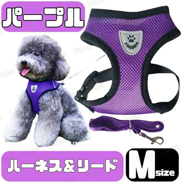 ハーネス リード メッシュ ペット 犬用 猫用 散歩 抜けない 脱げない 首輪 胴輪 超小型犬用 小型犬用 Mサイズ 紫 パープル
