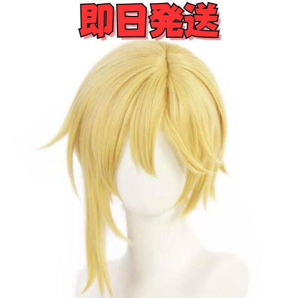 【送料無料】あんさんぶるスターズ 仁兎なずな (にとなずな)ウィッグ コスプレ あんスタ シンメトリー 衣装 変装 かつら