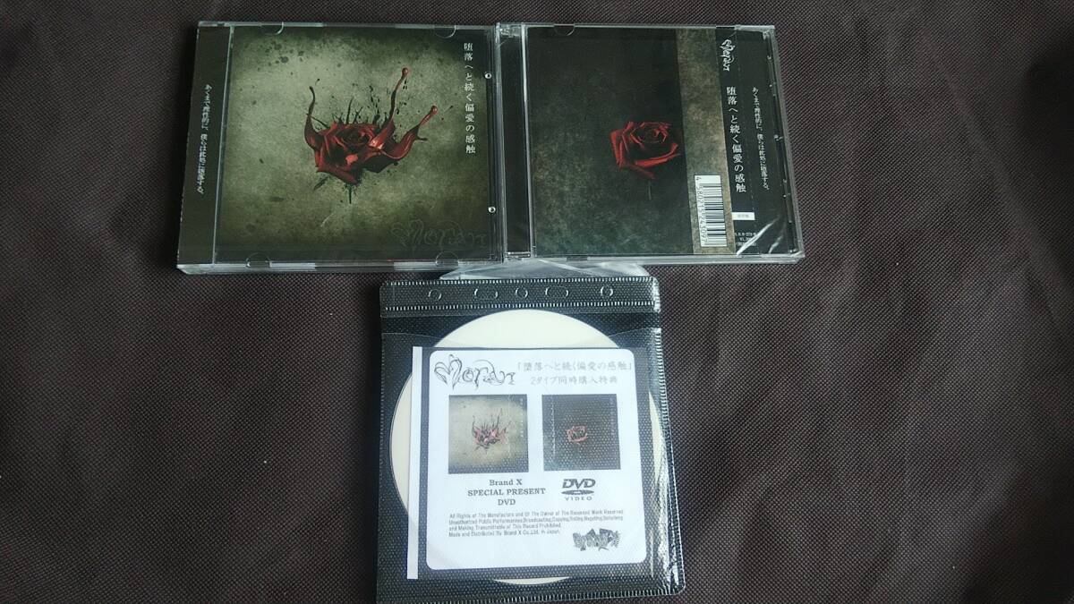 2025年最新】Yahoo!オークション -fatima dvd(音楽)の中古品