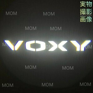 新型 カーテシ ランプ ドア カーテシー ライト 2個 voxy