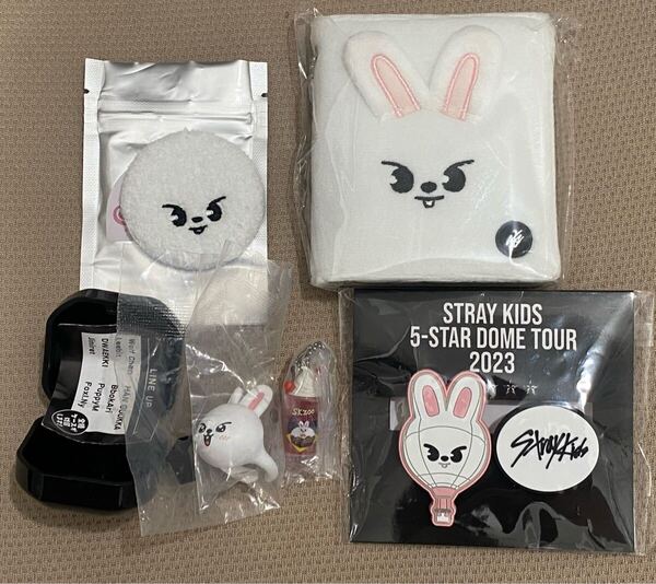 リービット リノ 缶バッジ ペンミ レトログラス フォトカードケース ぷくっとリング stray kids straykids leeknow リビ つまつな