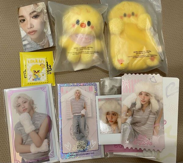 スキズ ペンミ ポガリ フィリックス リールホルダー 10cm ぬい トレカ jyp stray kids straykids skzoo スペシャルチケットセット