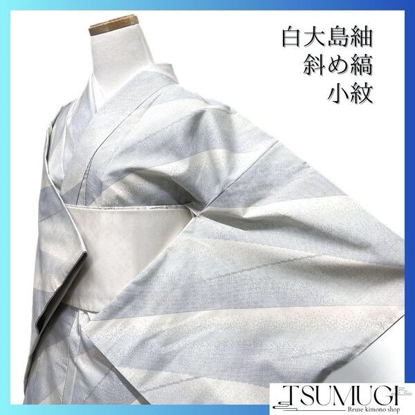 小紋 白大島紬 斜め縞 グラデーション お洒落 着物 032a d