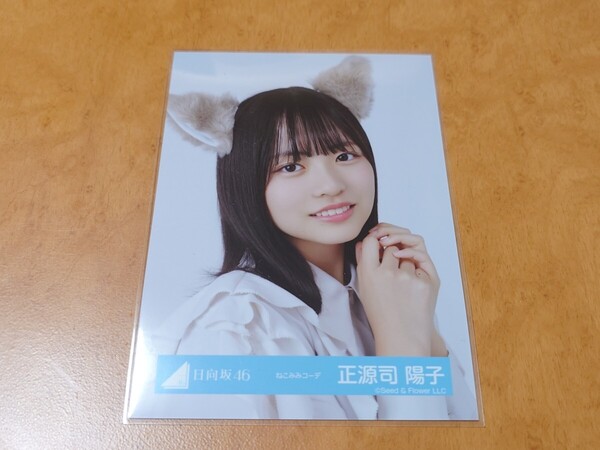 日向坂46 正源司陽子 生写真 ねこみみコーデ ヨリ