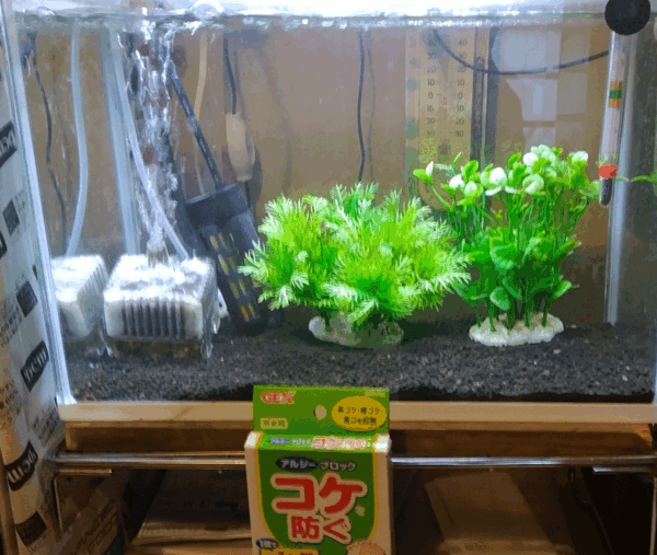 GEXぶくぶく水キレイセットL+ヒーター+水替掃除用ホース+水槽ライト+カルキ抜き+水温計+テトラ専用餌+コケ塞ぎ