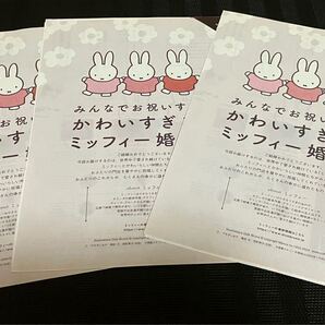 ゼクシィ★ミッフィーかわいすぎる♪婚姻届3枚・ピンクの婚姻届3枚★miffy
