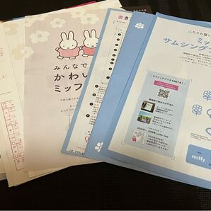 ゼクシィ★ミッフィー婚姻届2種・ピンクの婚姻届・DRESS&BEAUTY BOOK・お金攻略BOOK★miffy かわいすぎる♪婚姻届・サムシングブルー婚姻届