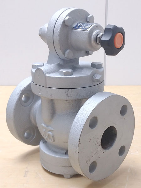 【未使用】FUSHIMAN/フシマン パイロット作動形減圧弁 P260型 蒸気用