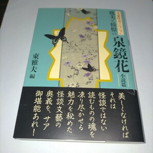 耽美と憧憬の泉鏡花 小説篇 (双葉文庫 ふ-32-04 文豪怪奇コレクション) 泉鏡花/著 東雅夫/編 保管d