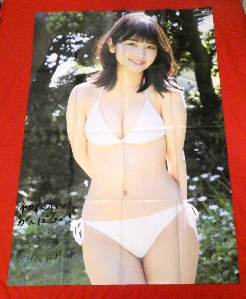 美品 SKE48 北野瑠華 漫画アクション2017年付録ポスター
