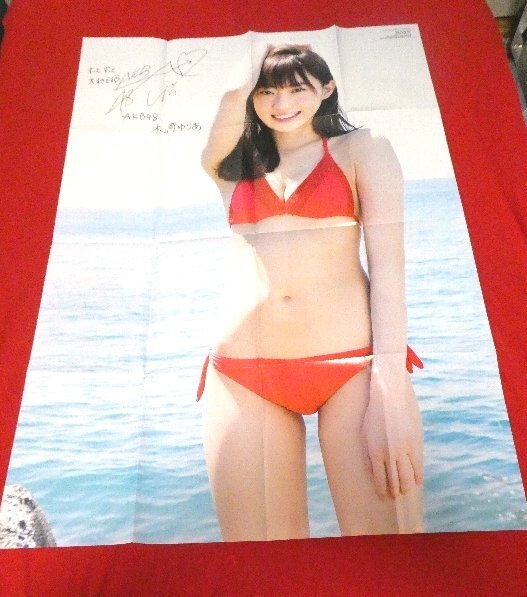 AKB48 木崎ゆりあ 漫画アクション2017年 付録ポスター